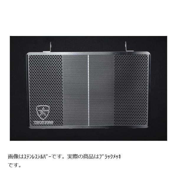 トリックスター ラジエターコアガード ステンレス ブラックメッキ ZRX1200DAEG VHG-0...