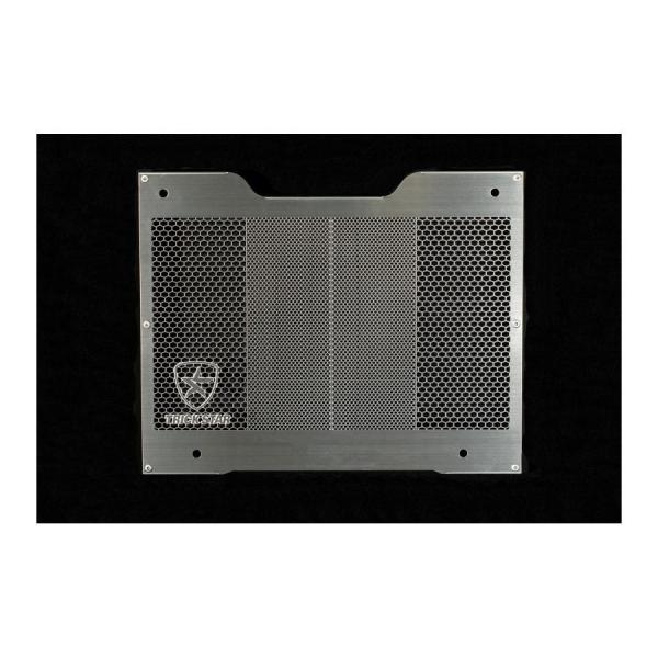 トリックスター ラジエターコアガード シルバー REBEL1100 VHG-118-SV