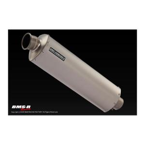 特別プライス ビームス BEAMS マフラー R-EVO スリップオンシェイプ