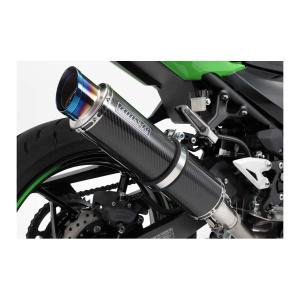 STRIKER（ストライカー） スリップオン マフラー Ninja250 Ninja400