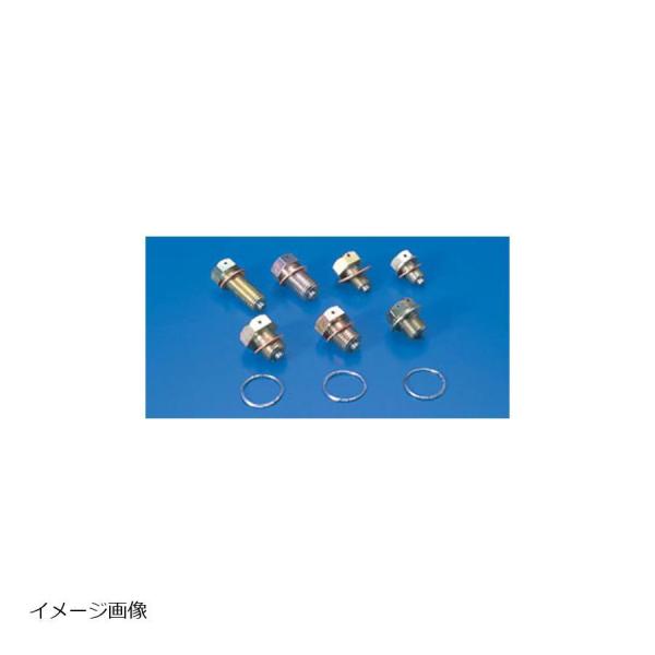 キジマ ワイヤーロックドレンボルト H/Y/M M12 (P1.5 L=12mm)