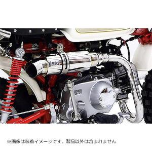 WirusWin（ウイルズウィン） グランドシャープマフラー フルEX レブル