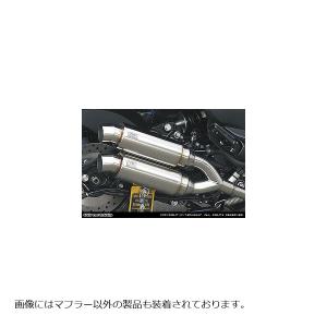 ウイルズウィン アトミックツインマフラー/スポーツ MAJESTY250(4D9)｜rubbermark