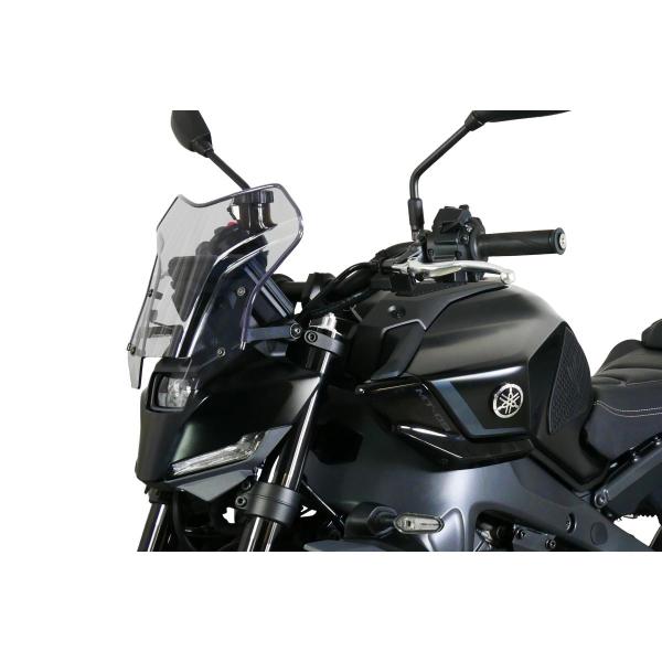 MRA (エムアールエー) スクリーン スポーツ スモーク MT-09 4025066176960