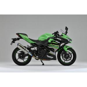 STRIKER（ストライカー） スリップオン マフラー Ninja250 Ninja400