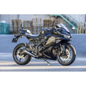 BEET（ビート） Kawasaki ZX-25R NASSERT Evolution Type II フル