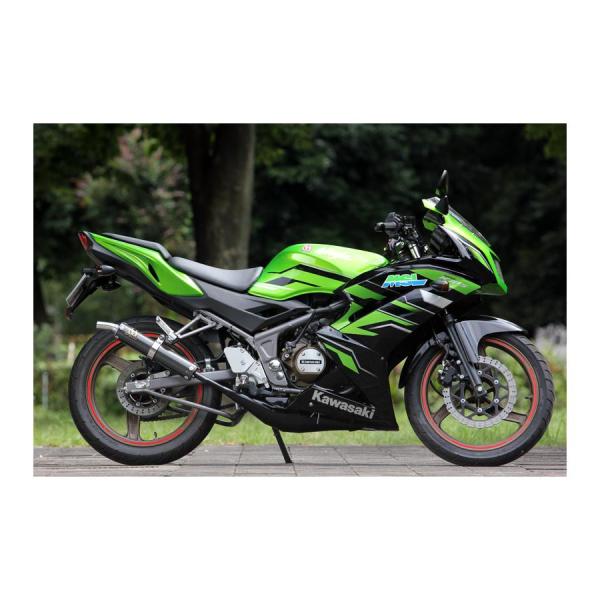 SP忠男 (SPタダオ) ジャッカルチャンバー ブラックエンブレム Ninja150RR ニンジャ1...