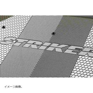 STRIKER（ストライカー） ラジエターコアガード Z900RS CAFE KAWASAKI