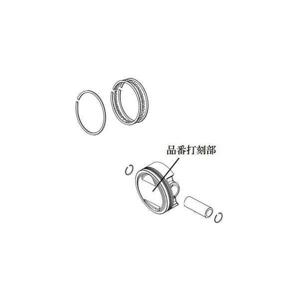 スペシャルパーツタケガワ PISTON KIT (125cc/SCUT) 12Vモンキー (Supe...