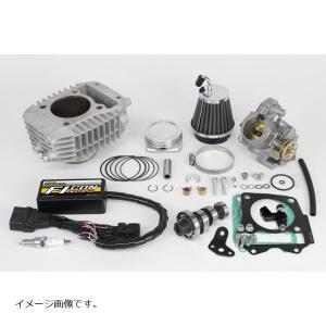 AKRAPOVIC（アクラポビッチ） スリップオンライン カーボン Ninja 250