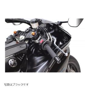 ACTIVE（アクティブ） ビキニカウル取付けマウント シルバー Z900RS 18