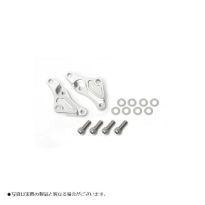 ACTIVE（アクティブ） 復刻盤キャリパーサポートシルバー