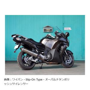 r's gear（アールズギア） ワイバンクラシックR シングル Sタイプ