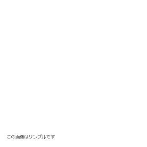 ACパフォーマンスライン アルミ ブルー/レッド  IMPULSE400/IMPULSE400S 94-03