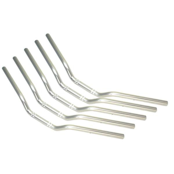 EFFEX (エフェックス) イージーフィットバーLow シルバー ZRX1200DAEG 09-1...