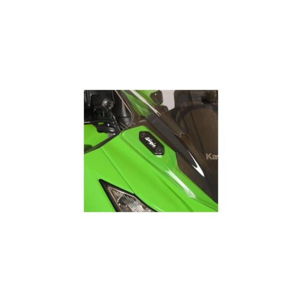 R&amp;G ミラーブランキングプレート アルミニウム ブラック ZX-6R/RR Ninja250 ニン...