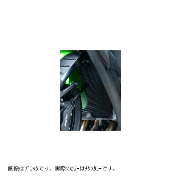 R&amp;G (アールアンドジー) コアガード ラジエターガード チタン 1400GTR [CONCOUR...