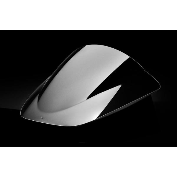 アクリポイント スクリーン レーシング クリア NSF250R 12-19 2段タイプ