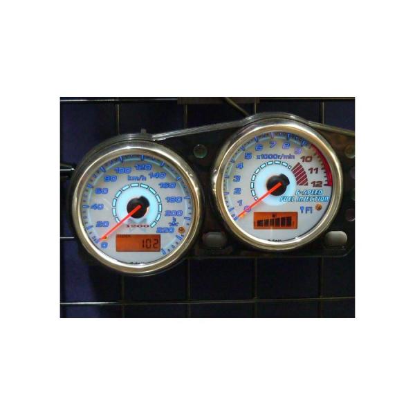 オダックス ELメーターパネル ACtype ZRX1200DAEG 09-16