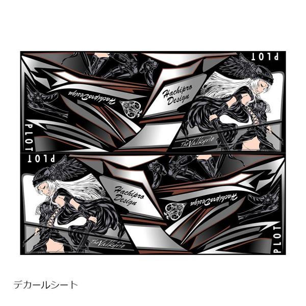 プロト デカールキット ヴァルキリー ブラック Ninja250 13-17