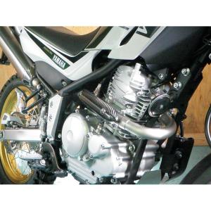 ディービーズ dB's チタンボルトセット カーボンヒートガード取付用