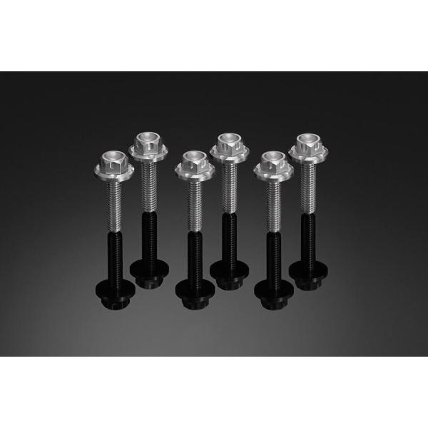 バイカーズ スクリーン用ステンレスボルト 6個 ZX-6R