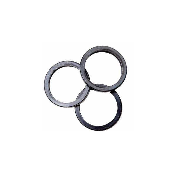 RotopaX (ロトパックス)  リペアガスケット RotopaX (ロトパックス) 社エコノズル...