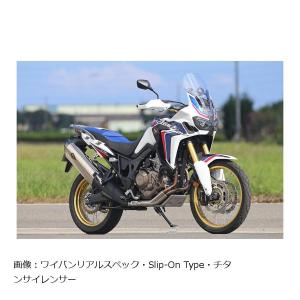 限定特価 アールズギア ワイバンリアルsp スリップオン マフラー Ti チタン Honda ホンダ Crf1000l Africatwin アフリカツイン Rh23 03rt Cys 3280 Rh23 03rt バイク 車パーツ ラバーマーク 通販 Yahoo ショッピング