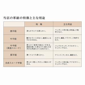 革紐 ウシ紐 日本製 ソフトレース牛革ひも 平...の詳細画像3