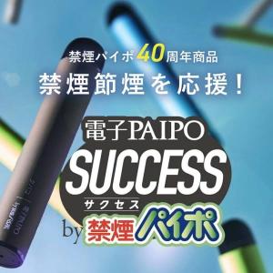 マルマン 電子パイポ サクセス 禁煙パイポ タ...の詳細画像1