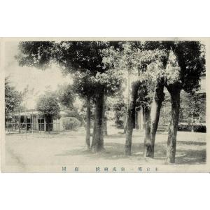 東京第一衛戍病院 庭園（国立国際医療研究センター） ― えいじゅ：陸軍軍隊が永久に一つの地に配備駐屯...