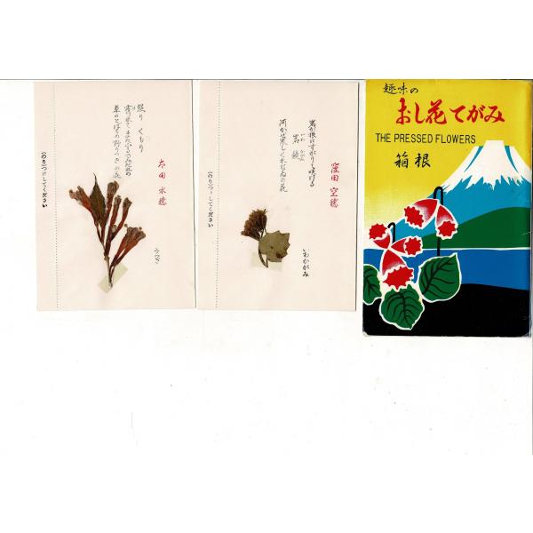 趣味のおし花てがみ 箱根 5枚とタトウ 実際の押花を貼り付けてあり二つ折りにして糊代部分を貼り付けて...