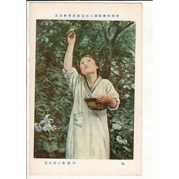 「帝国美術院第八回美術展覧会出品  梅 白瀧幾之助氏筆」神田美土代町壹ノ四四美術工芸発行 レトロ絵葉...