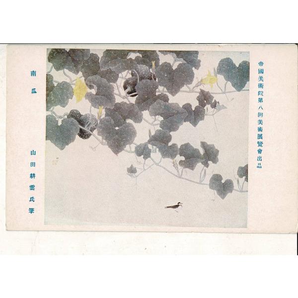 「帝国美術院第八回美術展覧会出品  南瓜 山田耕雲氏筆」神田美土代町壹ノ四四美術工芸発行 レトロ絵葉...