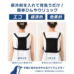 クールリュック 背中 保冷剤 ケース 冷却ベス...の詳細画像2