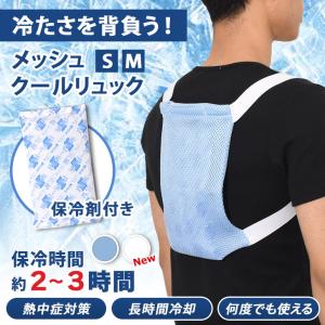 クール リュック 背中 クールベスト 冷却ベスト 保冷剤 冷たい 背中を冷ます 冷感 アイスリュック ゴルフ 背あてパッド 背当てパット ひんやり 熱中症 保冷 夏