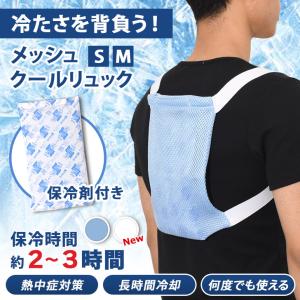 保冷剤 リュック 背中用 冷却 冷たい ひんやり 熱中症 暑さ対策 長持ち 保冷 真夏 夏 猛暑 炎天下 背中を冷ます アイスリュック 背あてパッド 背当てパット｜セレクトショップ REAL STYLE