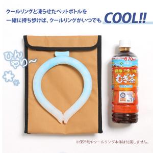 保冷バッグ ポーチ バッグインバッグ 保冷 ア...の詳細画像5