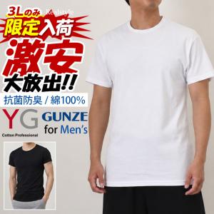 グンゼ GUNZE YG インナー メンズ 半袖 綿100％ 夏 インナーシャツ アンダーシャツ 抗菌 防臭 汗対策 Tシャツ 3L 下着 肌着 男性下着 コットン ブランド 激安