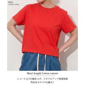 カットソー レディース 半袖 薄手 春 夏 シ...の詳細画像2