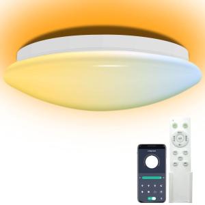 調色タイプ 電球色 リモコン付き 常夜灯 30W