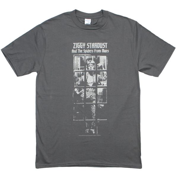 David Bowie / The Rise and Fall of Ziggy Stardust ...