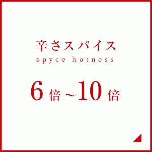 辛さスパイス6倍-10倍