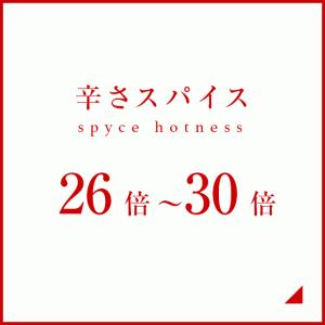辛さスパイス26倍-30倍の商品画像