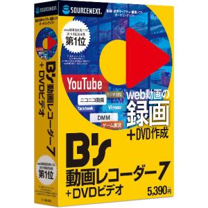 B’s 動画レコーダー 7＋DVDビデオ