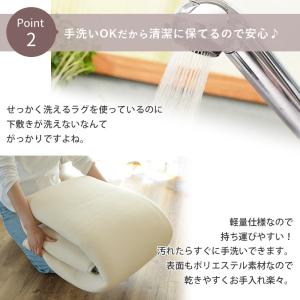 下敷きラグ アンダーラグ 極厚 20mm 洗え...の詳細画像4