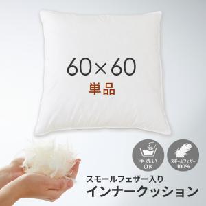 抗菌防臭加工無料 50×50cm フェザー100％ ヌードクッション 綿100