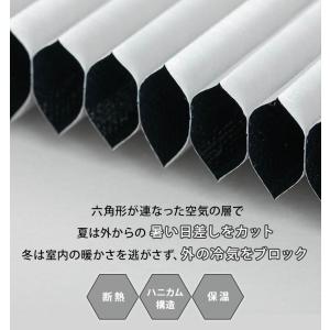 ハニカムスクリーン つっぱり 遮光 オーダー ...の詳細画像5