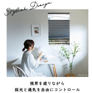 ハニカムスクリーン プリーツスクリーン オーダ...の詳細画像2