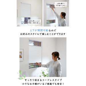 ハニカムスクリーン プリーツスクリーン オーダ...の詳細画像3